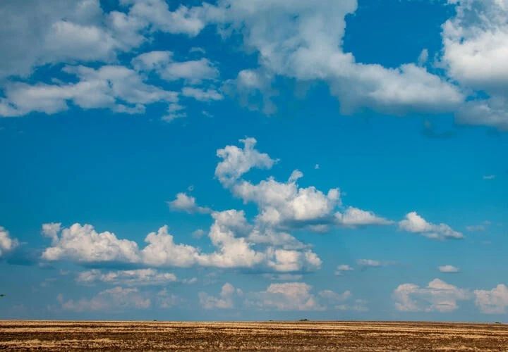 Более 2,2 тысячи гектаров урожая погибли из-за прорыва дамбы в Крымском районе Кубани