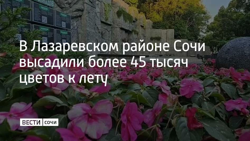 На улицах района высажено более 45 тысяч саженцев цветов, запланировано украсить газоны еще 20 тысячами декоративных растений