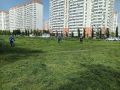 Евгений Наумов: С апреля в Краснодаре ежедневно идёт покос травы