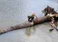 В Горячем Ключе реки чистят от завалов, чтобы не топило дома