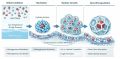 ������� �������: ��������� ����� �������� Springer Nature!