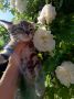 Доброе утро, Кубань!. Краснодар +28 °С