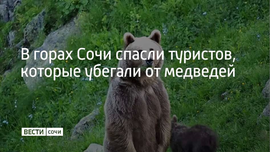 В горах Сочи в районе перевала Медвежьи ворота на высоте около 1900 метров заблудилась 25-летняя туристка из Москвы