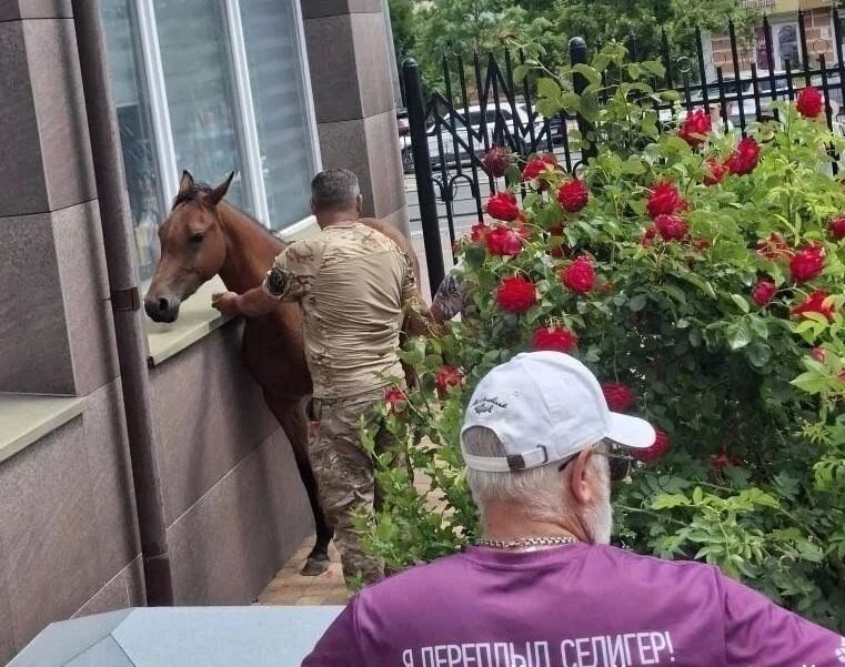 В Новороссийске несколько часов ловили испуганную лошадь