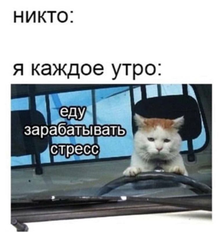 Почти 45% россиян часто испытывают стресс на работе