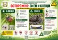 ОСТОРОЖНО: Клещи и змеи.. Выезжаешь в лес за грибами или просто на долгую прогулку в парк? Помни: сейчас сезон высокой активности клещей и змей