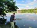 В Краснодаре обрабатывают территории от клещей и комаров