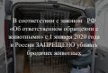 Животные без владельцев подлежат отлову, стерилизации, вакцинации, биркованию и выпуску в прежнюю среду обитания