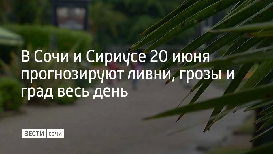 До конца суток 20 июня в Сочи и на федеральной территории Сириус ожидаются ливни с грозами, местами град