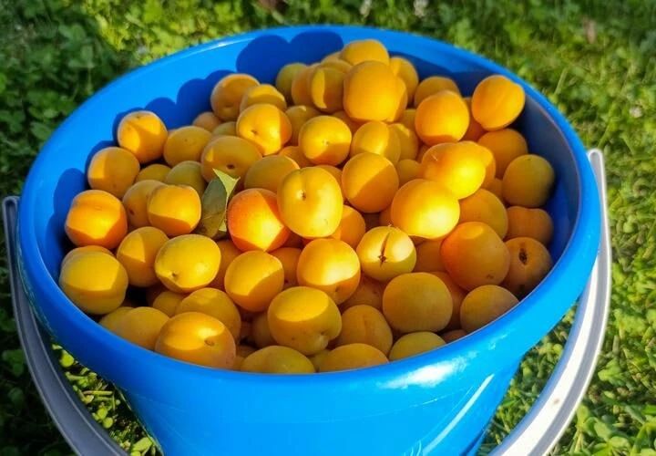 Какие продукты помогут загорать безопасно – рассказала врач