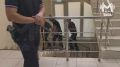 19-летнего Григория, который напал на людей в ТЦ, завели в зал суда