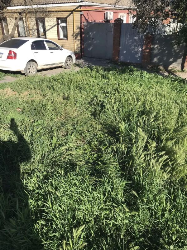 Начало новой рабочей недели – продолжение работ по наведению санитарного порядка на улицах Ейска