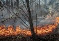 На горе в Новороссийске загорелась трава на площади 1,5 гектара