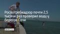 Роспотребнадзор почти 2,5 тысячи раз проверил воду у берегов Сочи
