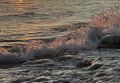 Морская вода уже 25 градусов: куда отправляться купаться в Краснодарском крае