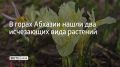 � ����� ������� �� ����� ������������ ��������� ������ ���������� ��� ������ ���� �������� � ���� ����������� � ������ �����������