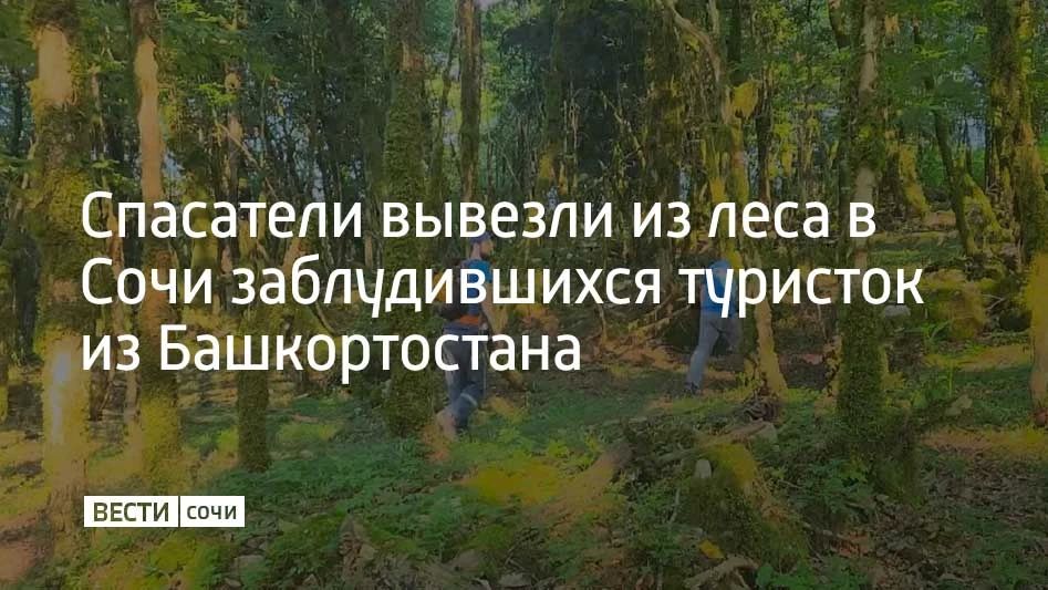 Девушки заблудились во время прогулки по каньону реки Псахо в Адлерском районе