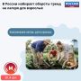 Утро начинается с зарядки, обед — строго по расписанию, а вечером — песни у костра