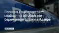 В Адлерском районе Сочи полиция начала проверку после публикаций в соцсетях об убийстве бездомной беременной собаки, сообщает пресс-служба ведомства