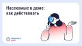 Как избавиться от насекомых в многоквартирном доме