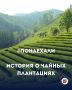 Новая рубрика — #Понаехали