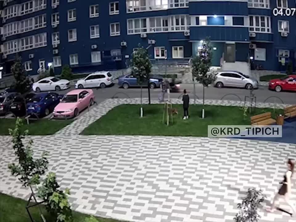 В Краснодаре мужчина ударил женщину пакетом мусора из-за спора о выгуле собаки