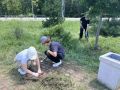 В ИЮНЕ 600 ПОДРОСТКОВ ВЫШЛИ НА РАБОТУ В ЛЕТНИЕ ТРУДОВЫЕ БРИГАДЫ