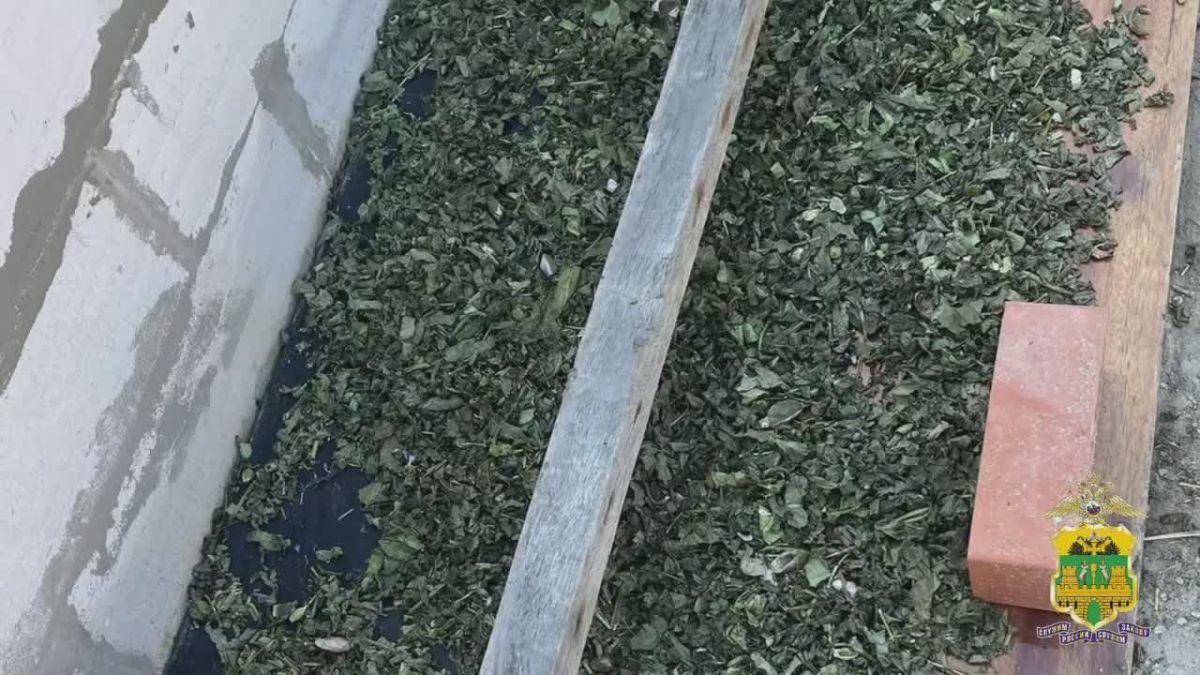 Более 10 килограммов маковой соломы изъяли у жителя Ейска