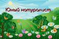 Лето в краевом Эколого-биологическом Центре — время удивительных открытий!