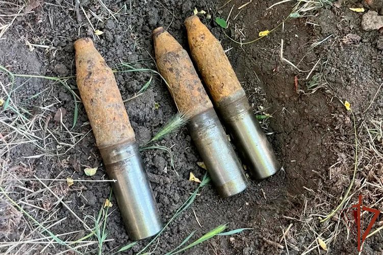В Тихорецком районе взрывотехники Росгвардии уничтожили артиллерийские снаряды