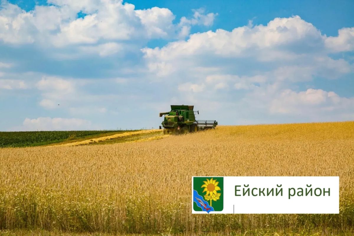 Ход уборки урожая в Ейском районе на 9 июля 2026 года
