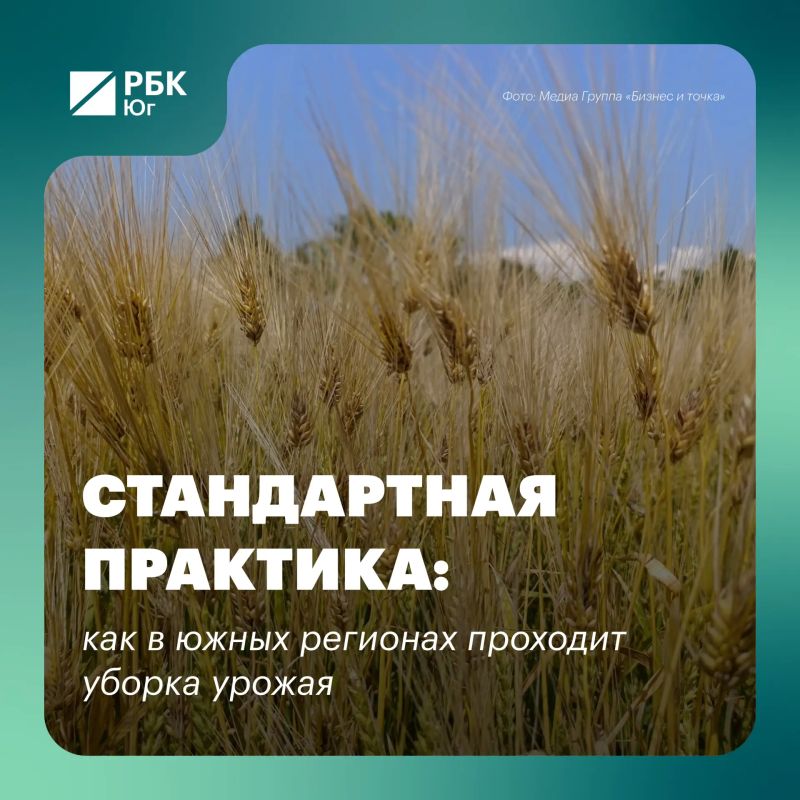 Стандартная практика: как в южных регионах проходит уборка урожая