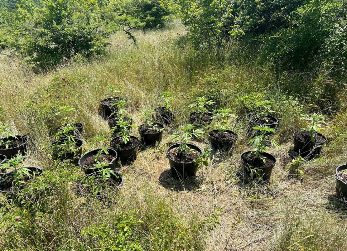 В Новороссийске полицейские подвели итоги оперативно-профилактической операции «Мак»