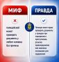 МИФ ИЛИ ПРАВДА?. Вокруг работы полиции существует множество мифов и стереотипов