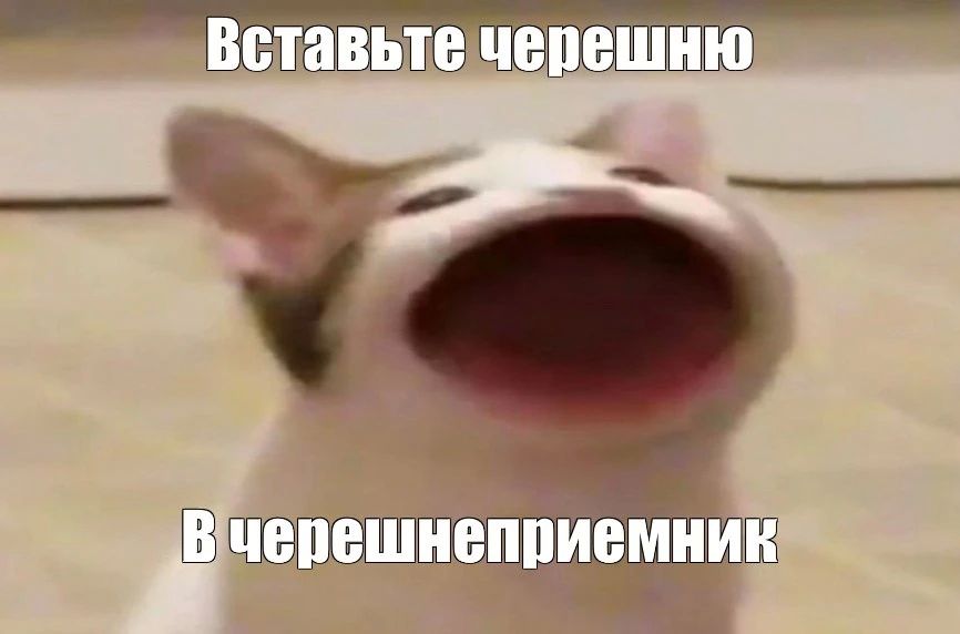 Всего 300–400 граммов в день: норму употребления черешние назвали в Роскачестве
