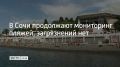 Осмотр берега ведут сотрудники районных администраций, департамента курортов и туризма, а также арендаторы пляжных зон