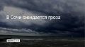 14 июля в Сочи и на федеральной территории Сириус местами прогнозируют грозу