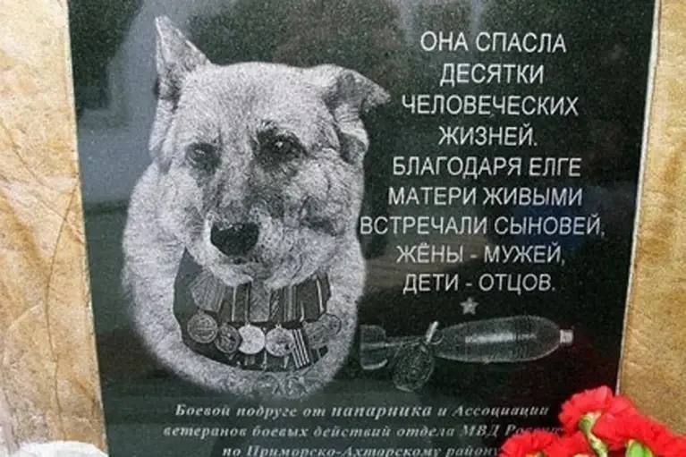 В Приморско-Ахтарске полицейские установили памятник легендарной служебной овчарке по кличке Елга