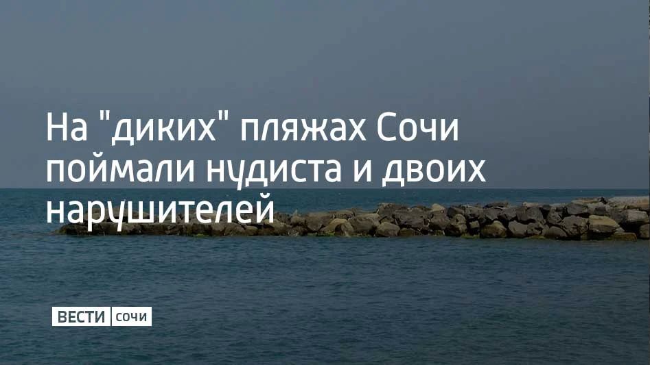В Сочи во время рейда по "диким" пляжам в поселке Солоники поймали двоих нарушителей запрета на купание, а также одного нудиста, рассказали в городской администрации