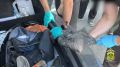 Почти 1 кг «синтетики» обнаружили полицейские в обшивке багажника
