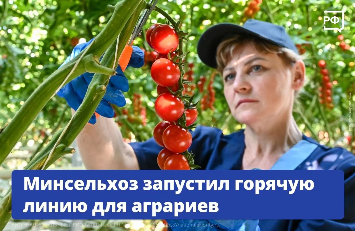 Для фермеров, сельхозорганизаций, предприятий оптовой и розничной торговли заработала круглосуточная горячая линия Минсельхоза по вопросам топлива: 8 (800) 234-93-80