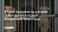 Помочь животным из муниципального приюта найти дом договорились мэр Сочи Андрей Прошунин и представители более 40 СМИ на ежегодной пресс-конференции главы города
