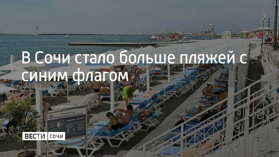 В Сочи в этом году 66 пляжей получили синий флаг — высшую категорию сертификации Минэкономразвития, рассказал глава города Андрей Прошунин на ежегодной пресс-конференции
