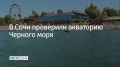 Загрязнений береговой полосы и морской акватории нет