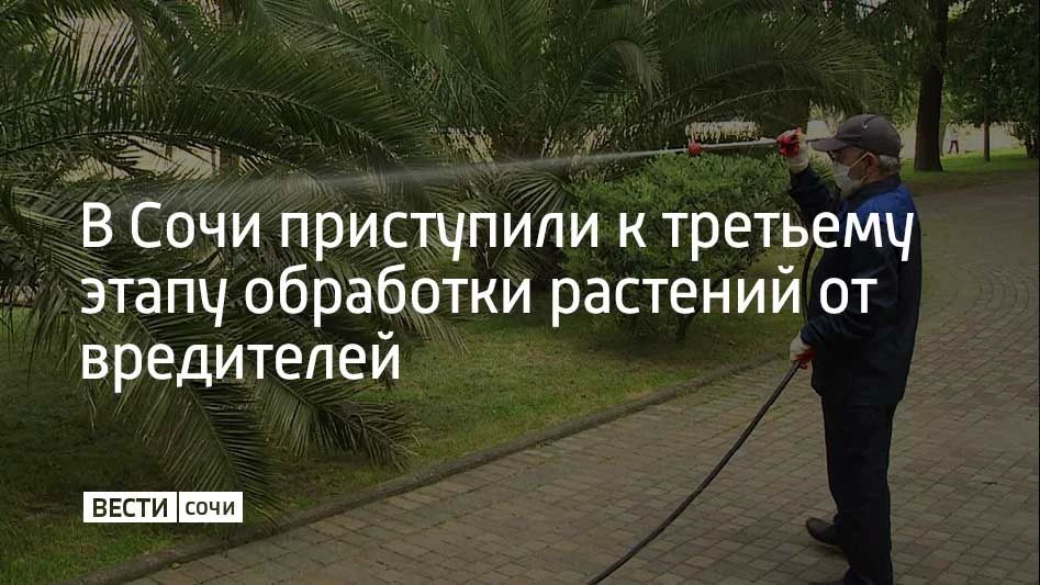 Работы проводят по сезонному графику