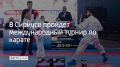 В Сириусе 25 и 26 июля пройдет международный турнир по карате Russia Open, сообщили в федерации карате России