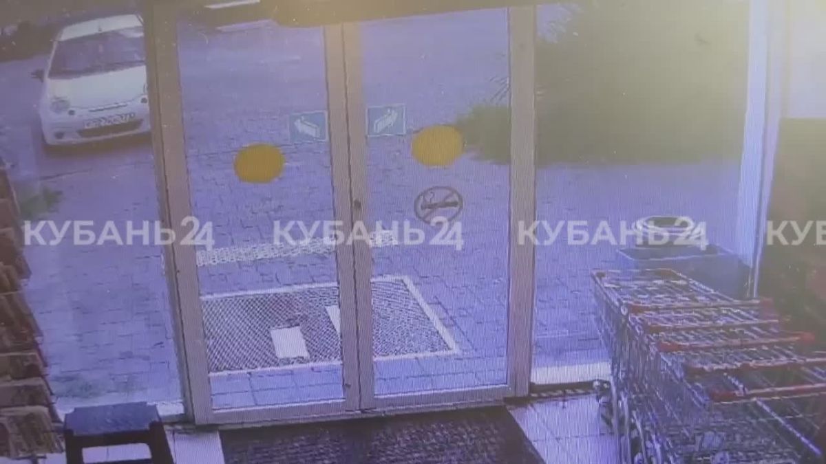 От агрессивных собак пострадал мальчик в Геленджике