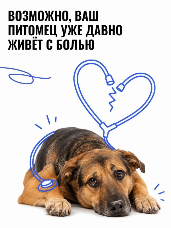 «Он просто стал спокойнее…», «Наверное, возраст…»