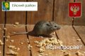 Cпособы устранения неприятных «сожителей» в частных домах, в подъездах МКД