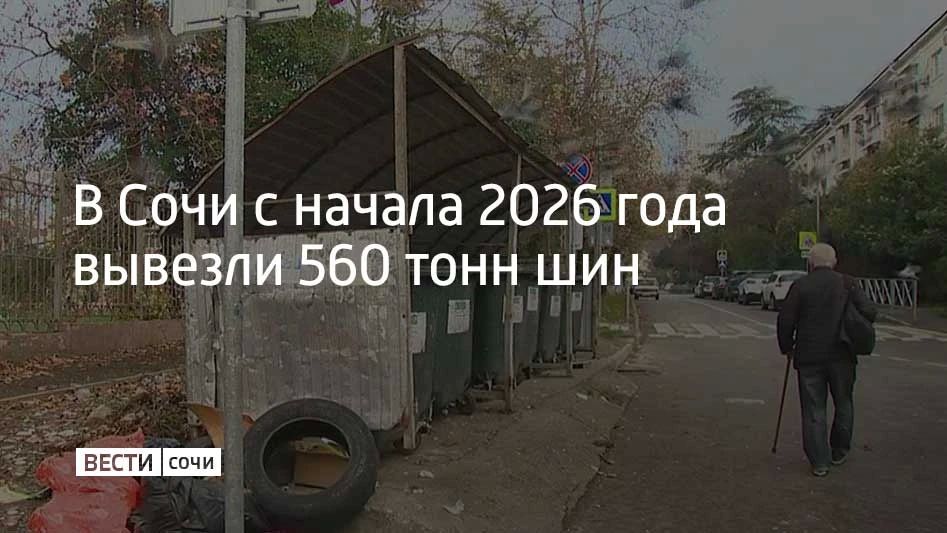 В городе действуют отдельные контракты по их сбору и утилизации, об этом сообщает администрация курорта